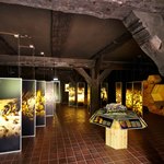 Bienenwelten - Ausstellung im Naturinformationshaus Niederhaverbeck