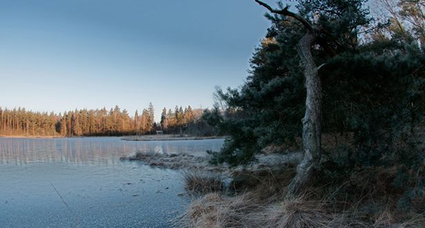 Blick vom Ufer auf den leicht gefrorenen Heideweiher Ahlftener Flatt