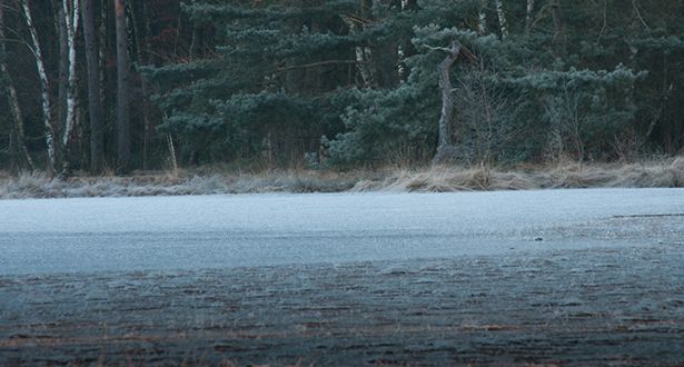 Blick zum Ufer über den gefrorenen Heideweiher Ahlftener Flatt