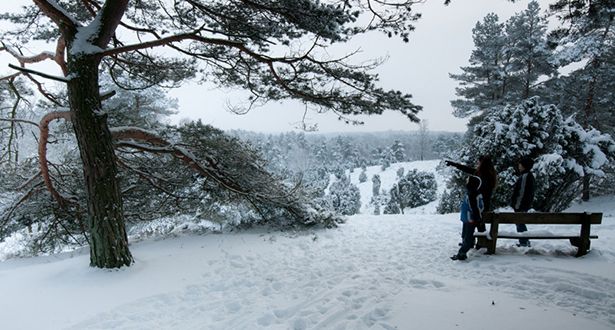 Drei Spaziergänger in der schneebedeckten Heidelandschaft Borsteler Schweiz