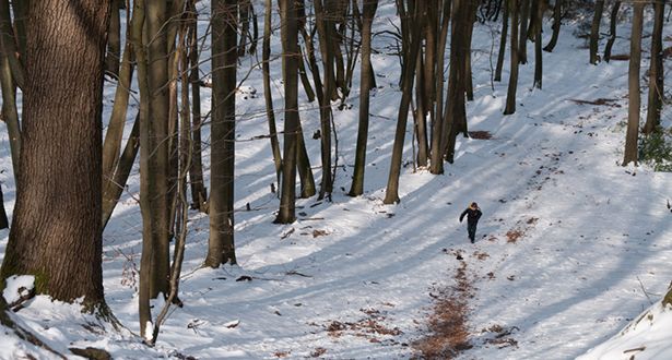Bildausschnitt eines Spaziergängers durch den schneebedeckten Laubmischwald im Naherholungsgebiet Hambörn
