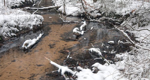 Ein Bach fließt durch schneebedeckte Landschaft im Lopautal