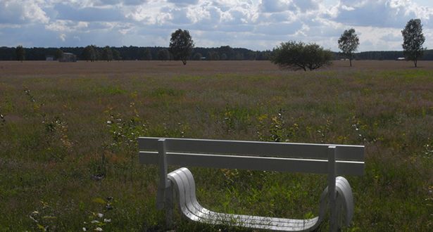Bildausschnitt weiße Holzbank mit Panoramablick auf Heidefläche