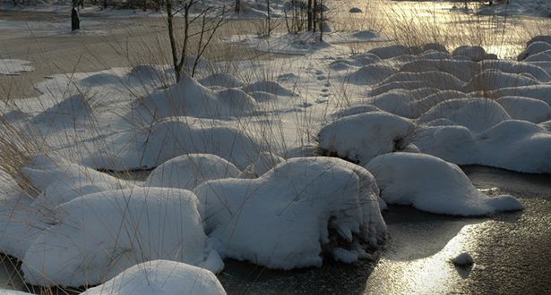 Bildausschnitt einer gefrorenen Moorlanschaft mit Schnee bedeckt
