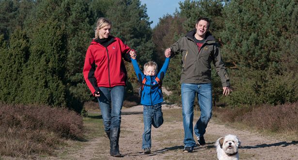 Vater, Mutter, Sohn und Hund wandern durch die Rehrhofer Heide