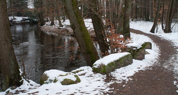 Die Seeve verläuft durch ein schneebedecktes Waldstück