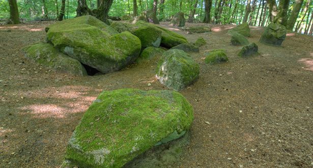 Bildausschnitt Steingrab mit Moos bedeckt