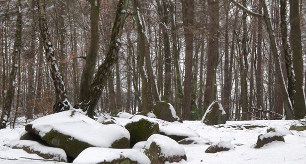 Bildausschnitt Steingrab mit Schnee bedeckt