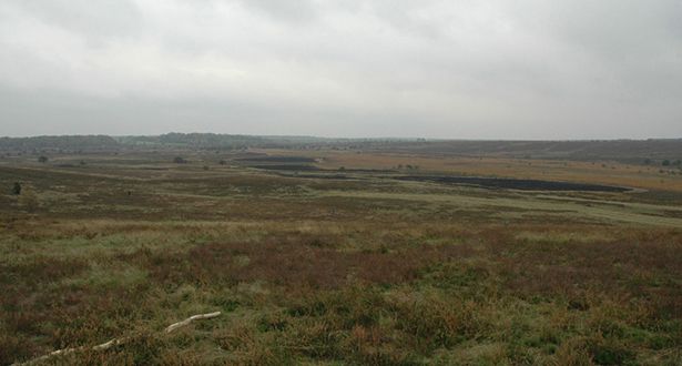 Panoramablick auf das Heidetal