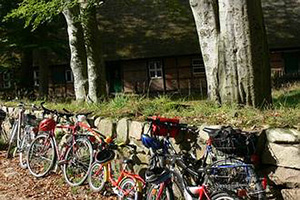 Mehrere Fahrräder lehnen an einer Mauer