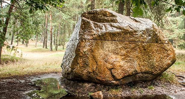Kunstwerk aus einem großen Felsblock in einem Wald.