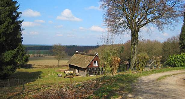 Ein für die Lüneburger Heide typisches, mit Reet gedecktes, Haus an einem Wegesrand.