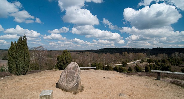 Panoramablick vom Turmberg aus über die Heidelandschaft.