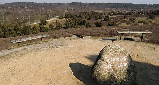 Panoramablick über die Heide. Im Vordergrund ein Felsstein mit der Aufschrift "Turmberg 135 Meter über dem Meeresspiegel".