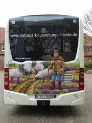 Naturpark-Bus: Rückansicht